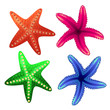 Starfish for decorating tourist posters, banners, leaflets, websites.