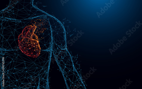 Cuadros en Lienzo Human heart anatomy form lines and triangles, point connecting network on blue background