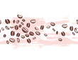 Vector seamless coffee backdrop design with hand drawn coffee beans isolated on white background. Ink drawing, coffee seeds. Packaging design, wallpaper, banner etc.