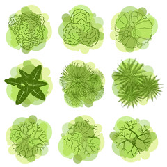 Wall Mural - trees top view for landscape vector illustration.