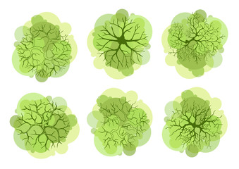 Wall Mural - trees top view for landscape vector illustration.