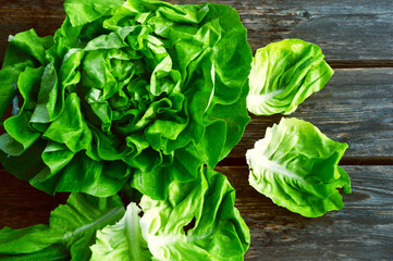 colorful and fresh of Butterhead lettuce with shadow on wooden background