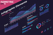 isometric infographic Web analytic Elements design