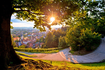 Wall Mural - Ljubljana aerial rooftops view at red sunset