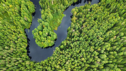 Wall Mural - aerial view on the forest and river. beautiful natural landscape at the summer time
