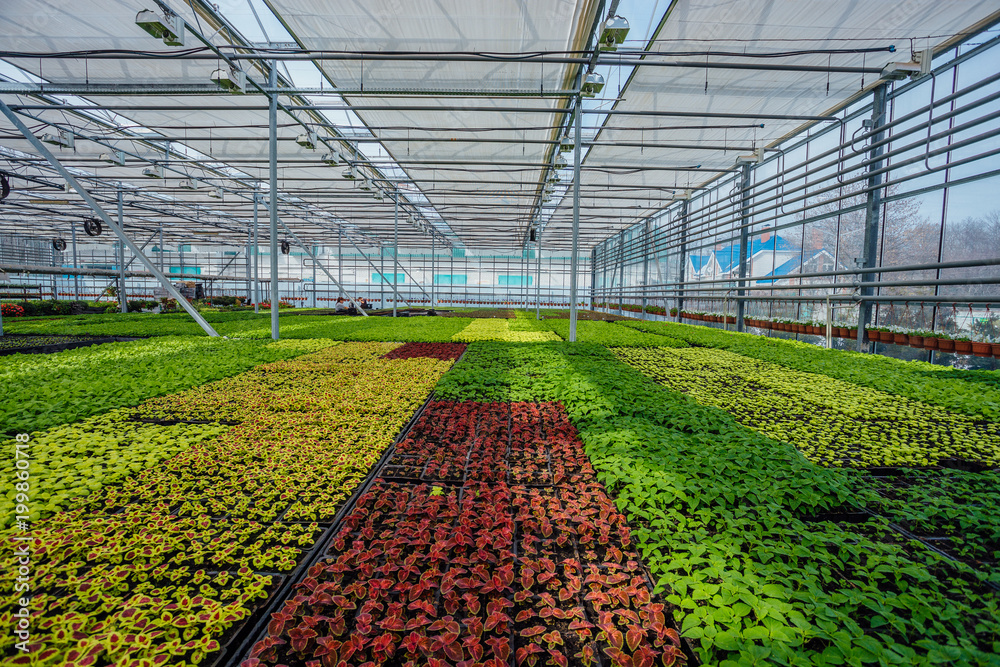 Modern hydroponic greenhouse with climate control system for ...