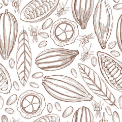 Hand drawn cocoa bean.Vector  seamless pattern.