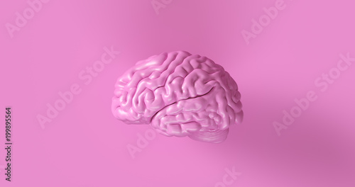 Fotomural Pink Human brain Anatomical Model 3d illustration