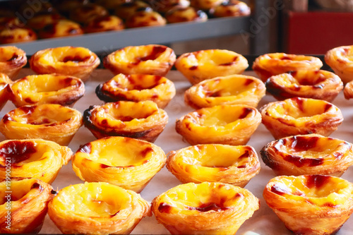 Fotografie, Obraz Rows of egg tart, traditional portuguese dessert, pastel de nata, custard tarts