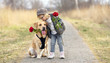 kleines Mädchen und Labrador mit roten Rosen