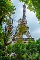 Wall Mural - Eiffel Tower