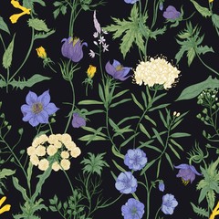 Wall Mural - Floral seamless pattern with blooming wild flowers and meadow flowering plants on black background. Romantic floral backdrop. Colorful vector illustration for fabric print, wrapping paper.