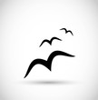 Seagull/ birds icon vector