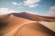 © Anna - View of sand dunes in Sossusvlei desert