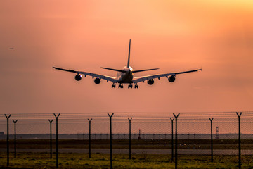 Wall Mural - Airplane landing at sunset