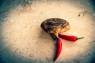 Isolated shiitake mushroom with two hot chilli peppers