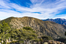 Ridge-line In Angeles Mountains