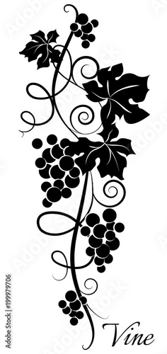 Black And White Grapevine Pattern Stylized Grapes Vector Illustration Buy This Stock Vector And Explore Similar Vectors At Adobe Stock Adobe Stock