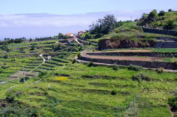 Canvas Print - Coast of Madeira island, Ponta do Pargo, Portugal