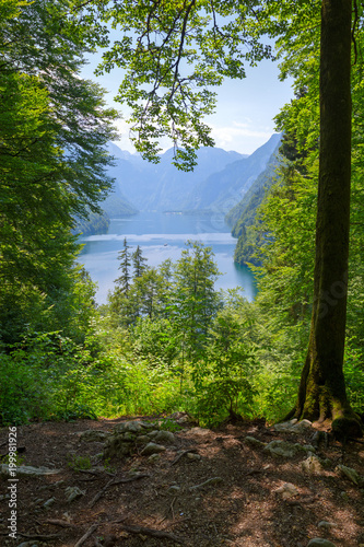 Dekoracja na wymiar  widok-na-jezioro-konigssee-z-lesnej-sciezki