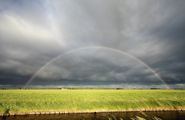  rainbow over green meadow and river