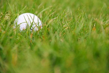 Canvas Print - Golf ball on course