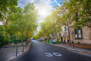 Wall Mural - Street in Paris