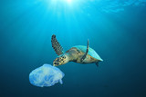 Fototapeta  - Plastic pollution in ocean problem. Sea Turtle eats plastic bag