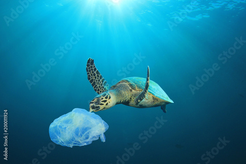 Fotografía Plastic pollution in ocean problem. Sea Turtle eats plastic bag