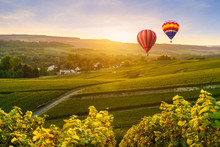 Colorful Hot Air Balloons Flying Over Champagne Vineyards At Montagne De Reims, France