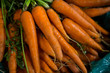© Wavebreak Media - Fresh carrots in supermarket