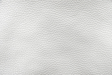 White leather background