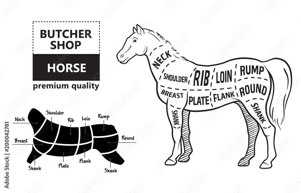 Scheme of cutting horse meat with cutting lines. Design for butcher ...
