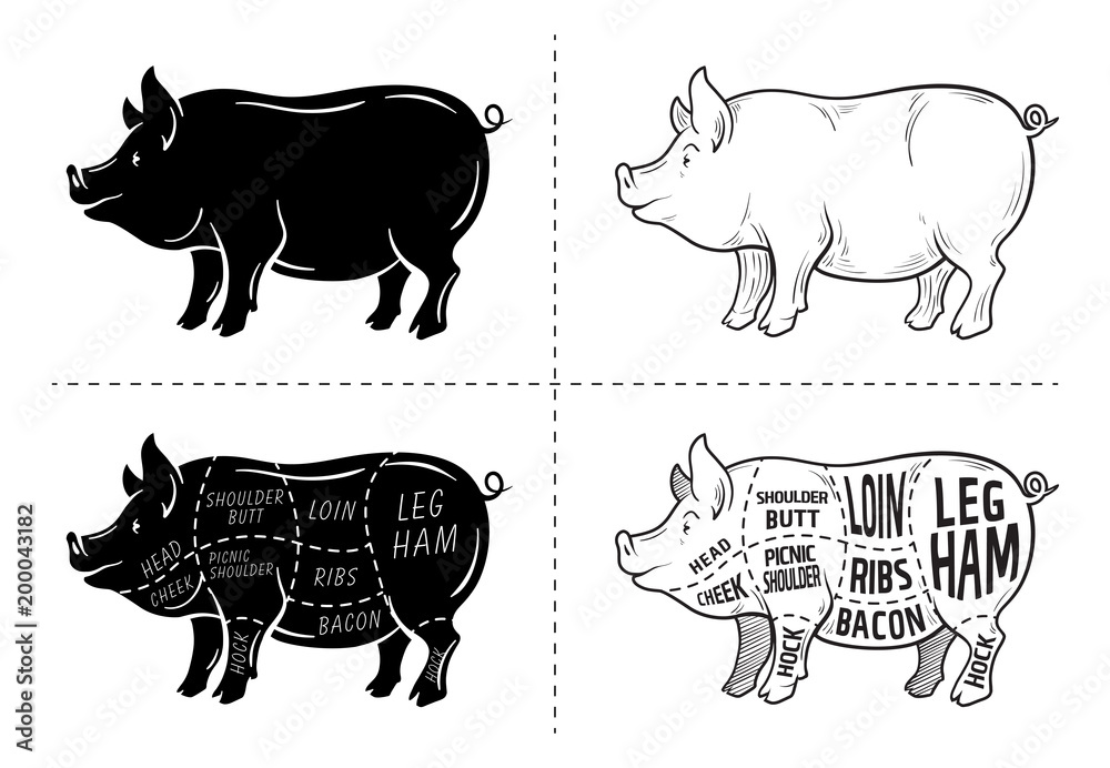 Cut of meat set. Poster Butcher diagram, scheme and guide - Pork ...