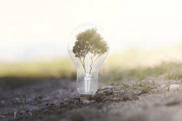 conceptual image of renewable energy