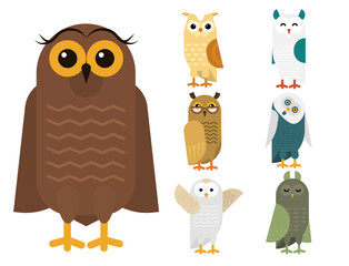 Wall Mural - Cartoon owl bird cute character sleep sweet owlet vector illustration.