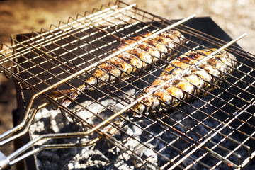 Two mackerels are cooking on the grill. Summer barbecue in nature. Family rest and healthy eating