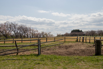 Spring of Akimoto Ranch in Chiba Prefecture, Japan