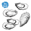 Hand drawn sketch oyster set. Hand drawn illustration  of fresh seafood. Isolated on white background collection. For restaurant menu and market flayers.