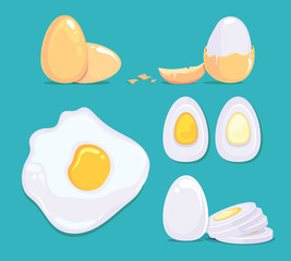 Wall Mural - Raw and cooked eggs in different conditions. Vector cartoon pictures