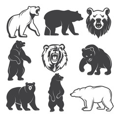 Poster - Monochrome illustrations of stylized bears. Pictures set for logos or badges design