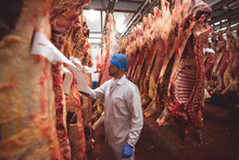 Butcher Examining The Red Meat Hanging In Storage Room