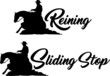 Sliding Stop & Reining - Quarter Horse