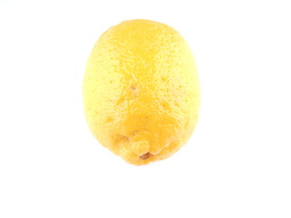 yellow lemon on a white background