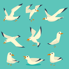 Flying, On The Water And Standing Seagulls Cartoon Set. Vector Flat Birds Icons Isolated On Blue Background.