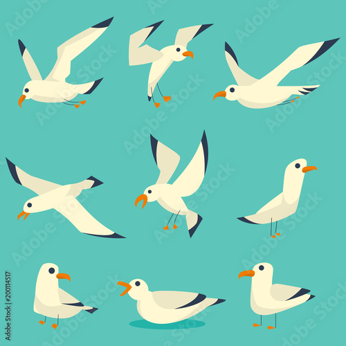 Fotografía Flying, on the water and standing seagulls cartoon set