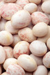 Texture of pinto beans.Background of pinto beans.Cocnept textures of legumes.
