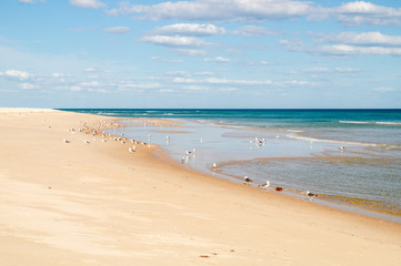 Sunny view of the lagoon beach of Fuseta, Ria Formosa Natural park, Portugal