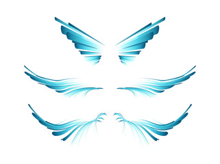Poster - Set of Modern Blue Filigree Ornament for Presentation and Decoration . Decorative Design Element on White Background