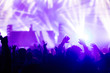 © NDABCREATIVITY - Picture of dancing crowd at music festival